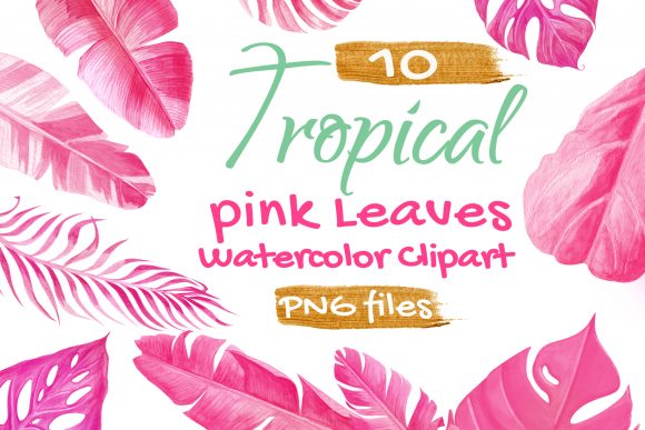 Tropical Palm Leaf Pink Watercolor for Creative Projects